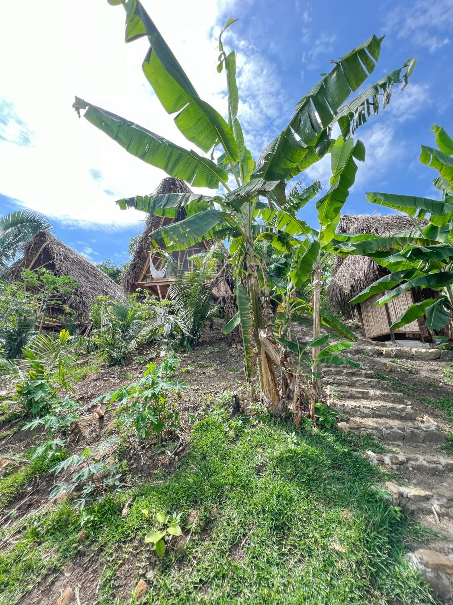 ホテル Tierra Alta, Refugio De Montana, Sauce エクステリア 写真